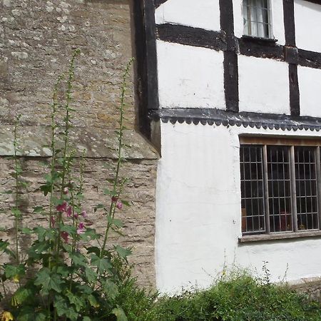 Bed and Breakfast Walford Court Leintwardine Экстерьер фото